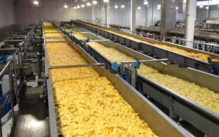 Производство чипсов: прибыльный бизнес в пищевой отрасли Аппарат по производству картофельных чипсов